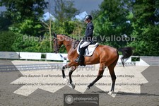 ref. photo 3690142