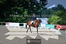 ref. photo 3690145