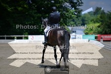 ref. photo 3690165