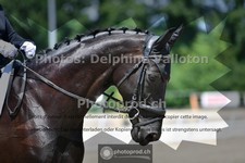 ref. photo 3690175