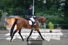 ref. photo 3690180