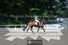 ref. photo 3690244