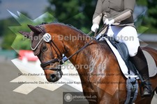 ref. photo 3690248