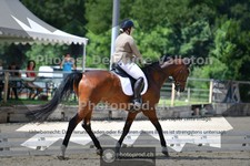ref. photo 3690249