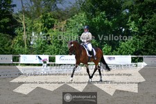 ref. photo 3690252
