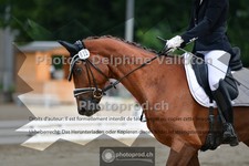 ref. photo 3690277