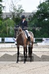 ref. photo 3690327