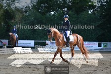 ref. photo 3690347