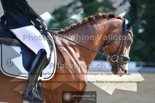 ref. photo 3690349