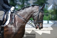 ref. photo 3690498