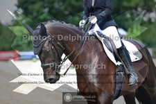 ref. photo 3690507