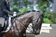 ref. photo 3690516