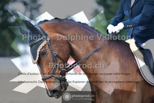 ref. photo 3690578