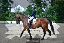 ref. photo 3690584
