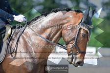 ref. photo 3690591