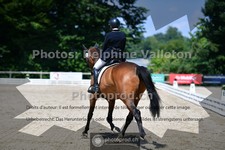 ref. photo 3690611