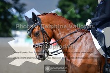 ref. photo 3690668