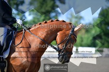 ref. photo 3690687