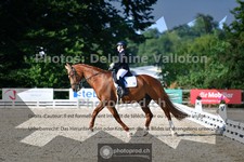 ref. photo 3690696