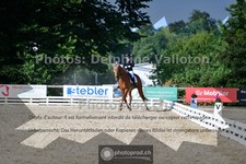 ref. photo 3690697
