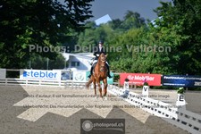 ref. photo 3690716