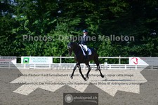 ref. photo 3690791