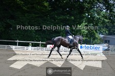 ref. photo 3690892