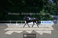 ref. photo 3690893
