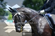 ref. photo 3690896