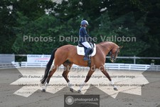 ref. photo 3690924