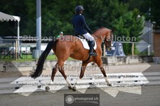 ref. photo 3690926