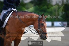 ref. photo 3690956