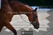 ref. photo 3690957