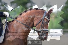 ref. photo 3690979