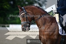 ref. photo 3690980