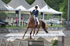 ref. photo 3691009