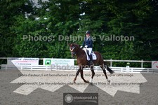 ref. photo 3691013