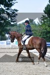 ref. photo 3691017