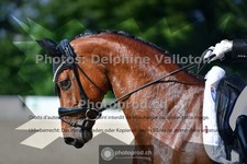 ref. photo 3691024