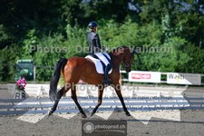 ref. photo 3691025