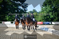 ref. photo 3691099