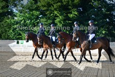 ref. photo 3691102