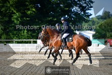 ref. photo 3691114