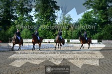 ref. photo 3691118