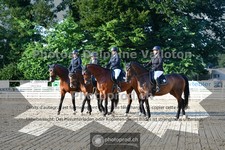 ref. photo 3691132