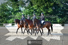 ref. photo 3691133