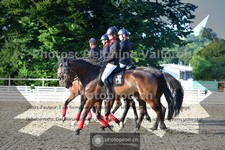 ref. photo 3691179