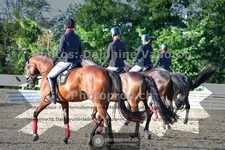 ref. photo 3691187