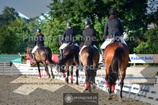 ref. photo 3691194