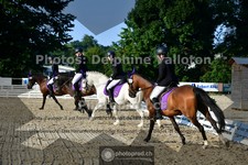 ref. photo 3691289